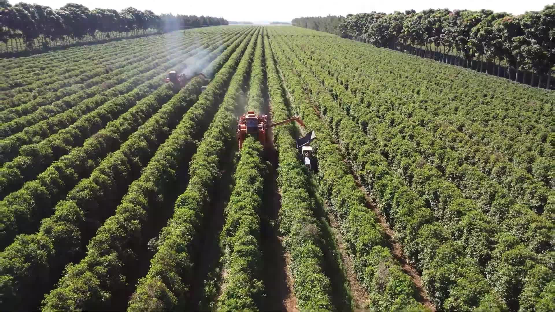 banner-home-swiper-image