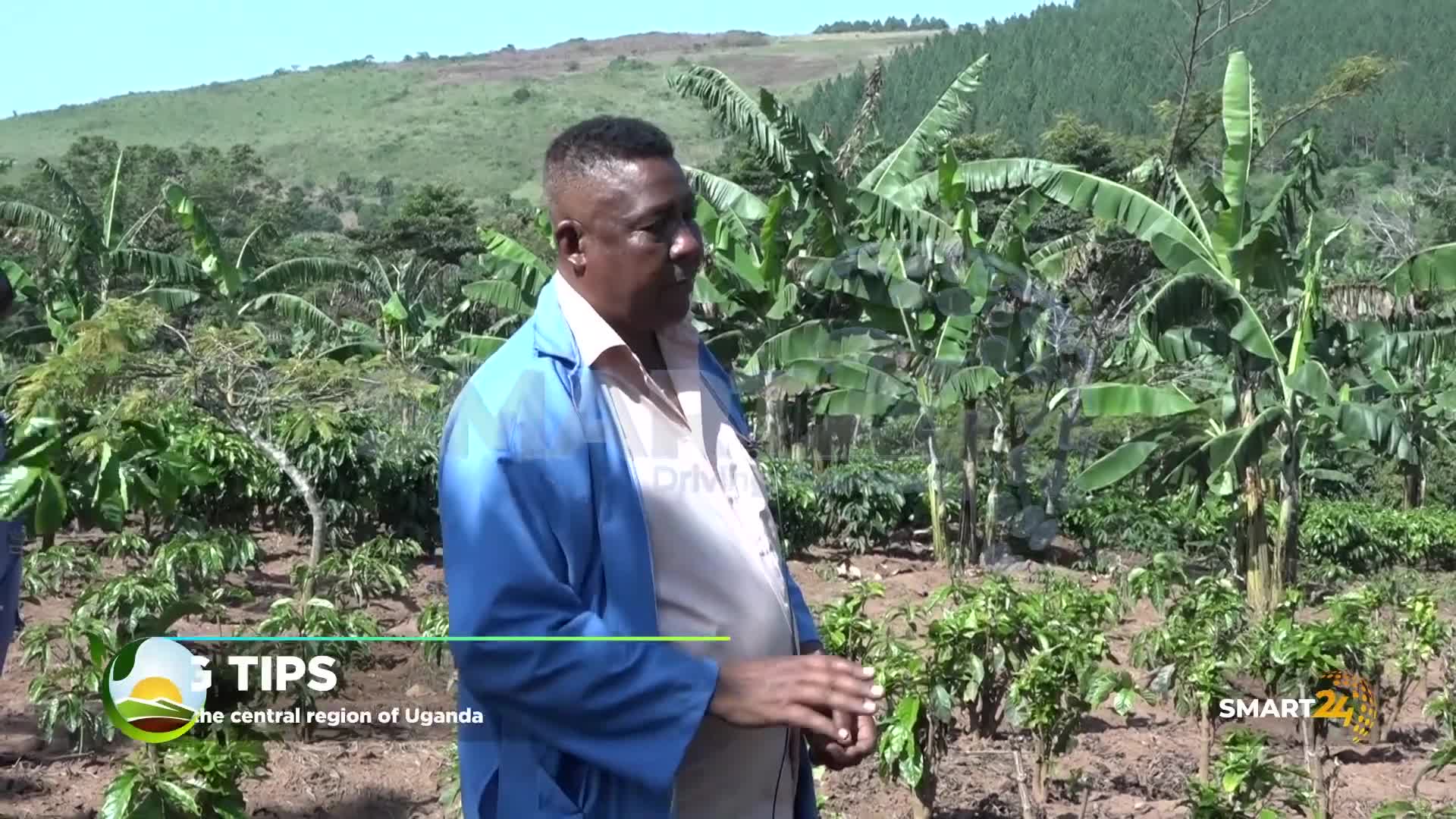 banner-home-swiper-image