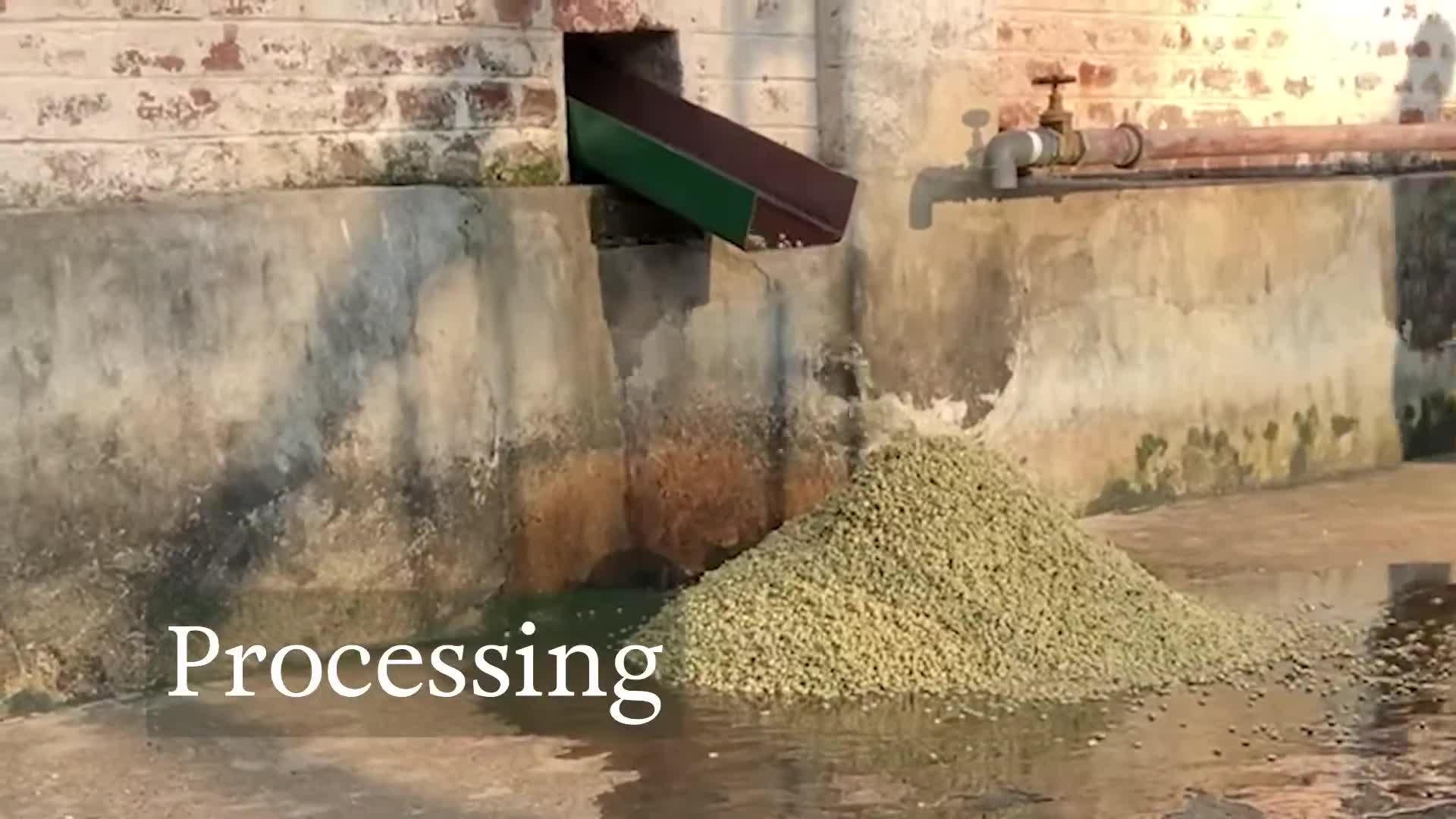 banner-home-swiper-image